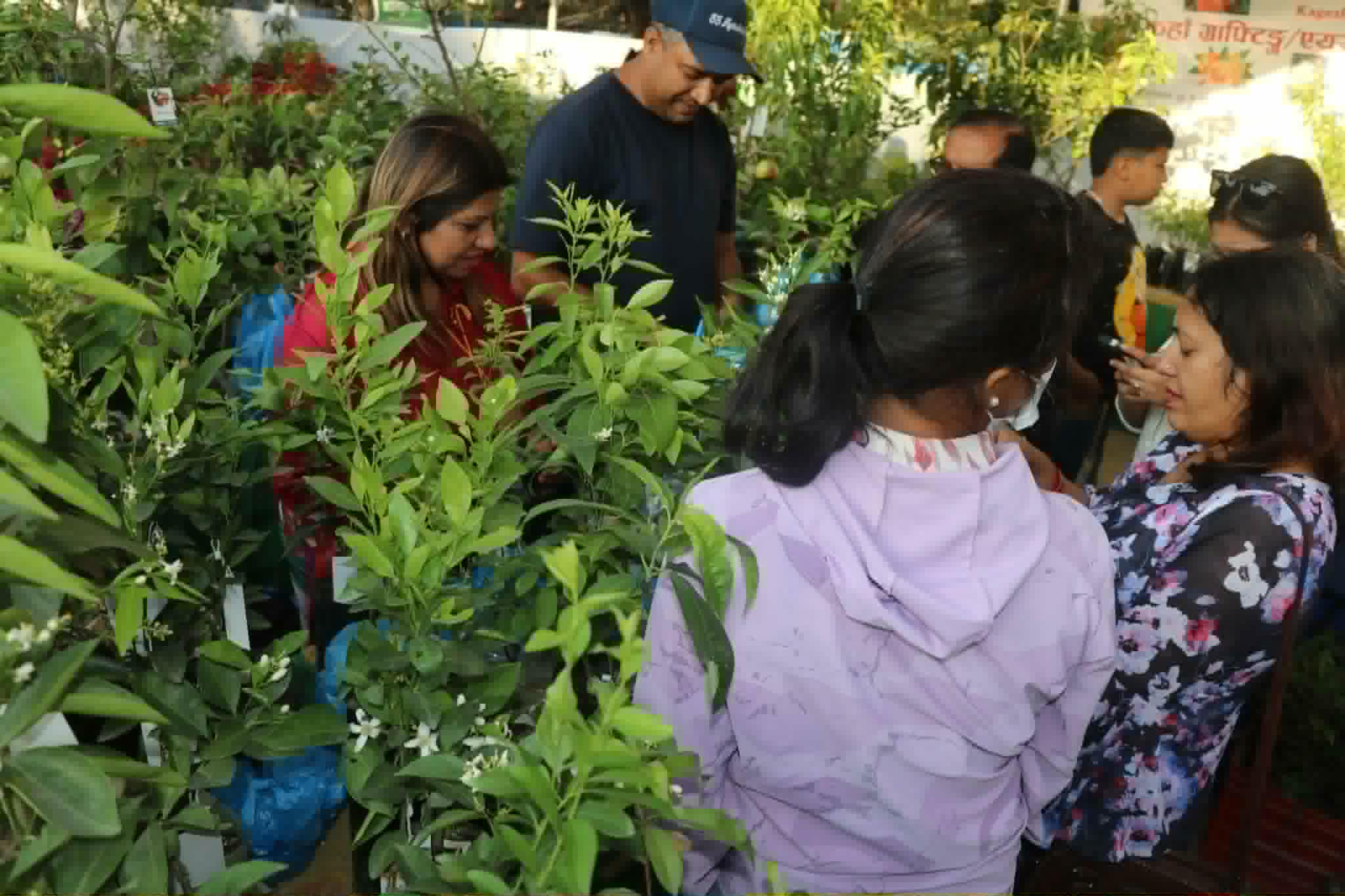 १ करोड ६० लाख कारोबारसंगै तेश्रो हर्टीकल्चर  एक्स्पो सम्पन्न ।