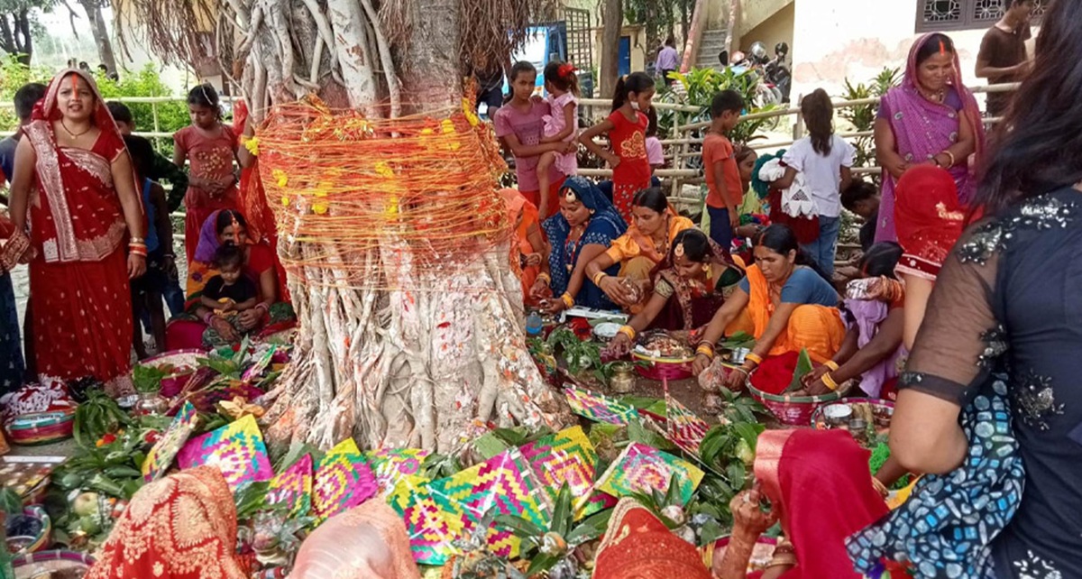 पति दीर्घायुको कामनासहित मिथिलाञ्चलमा धुमधामसँग मनाइँदै वट सावित्री पर्व
